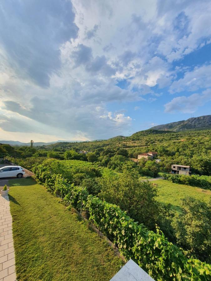 Djukic Winery Apartment Podgorica Exterior photo