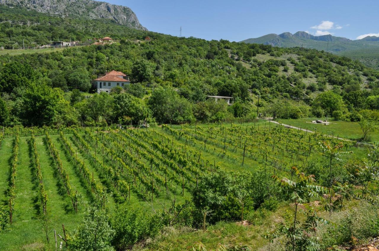 Djukic Winery Apartment Podgorica Exterior photo